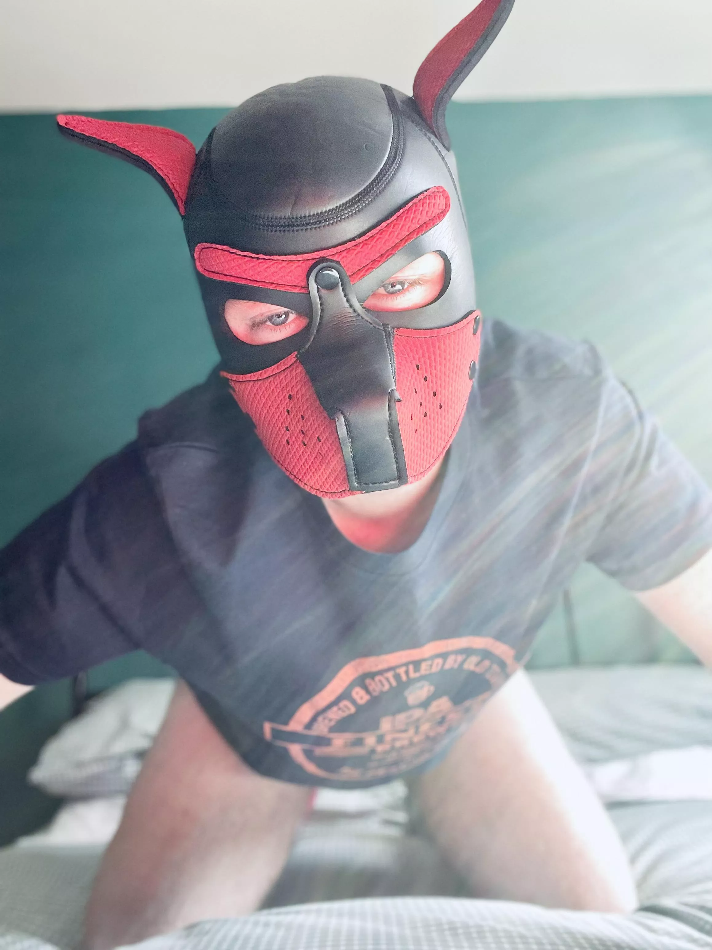 Bright morning makes a happy puppy posted by Malos_AD