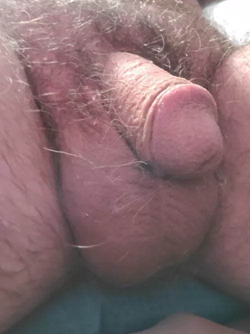 bring it on [58] by poppajcg