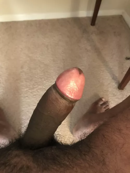 Brown dick by myjune1337