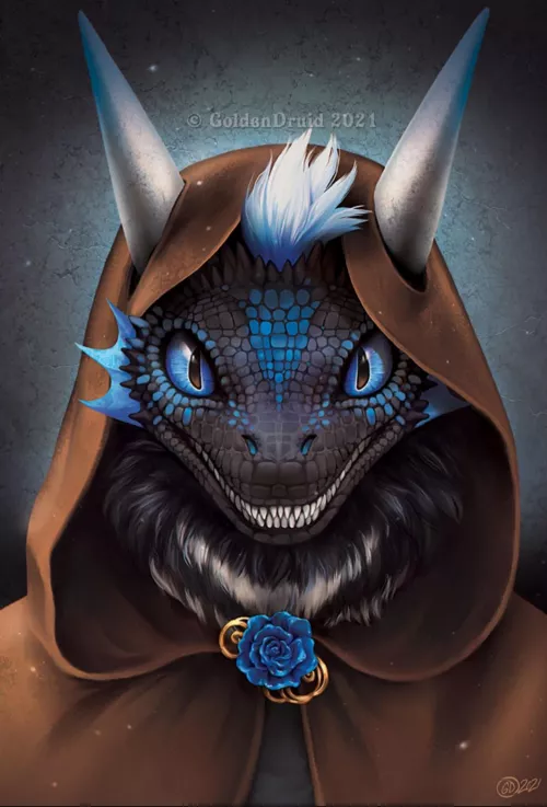 Brown Mage ( Art by golden druid) by isuckatmath10