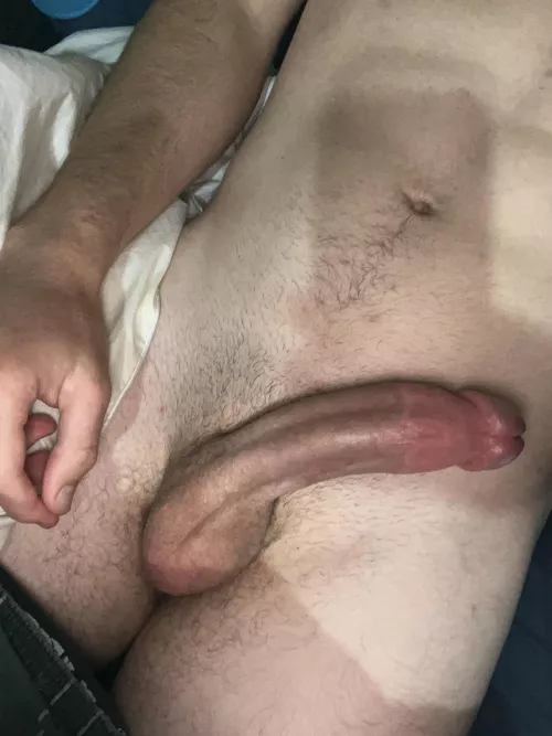 Building a load [OC] by Dull_Pollution7553