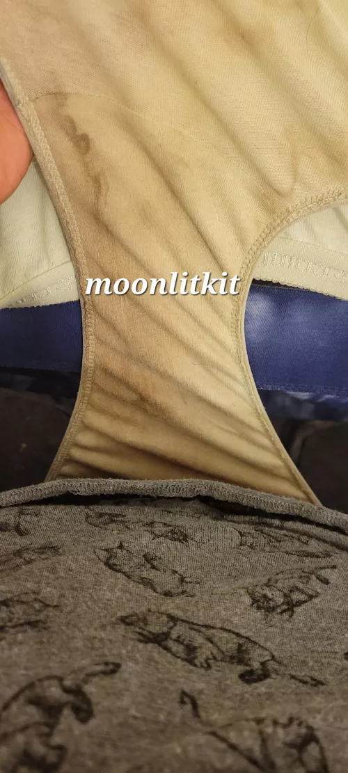 Building up day by day by Moonlit_KitLingrie