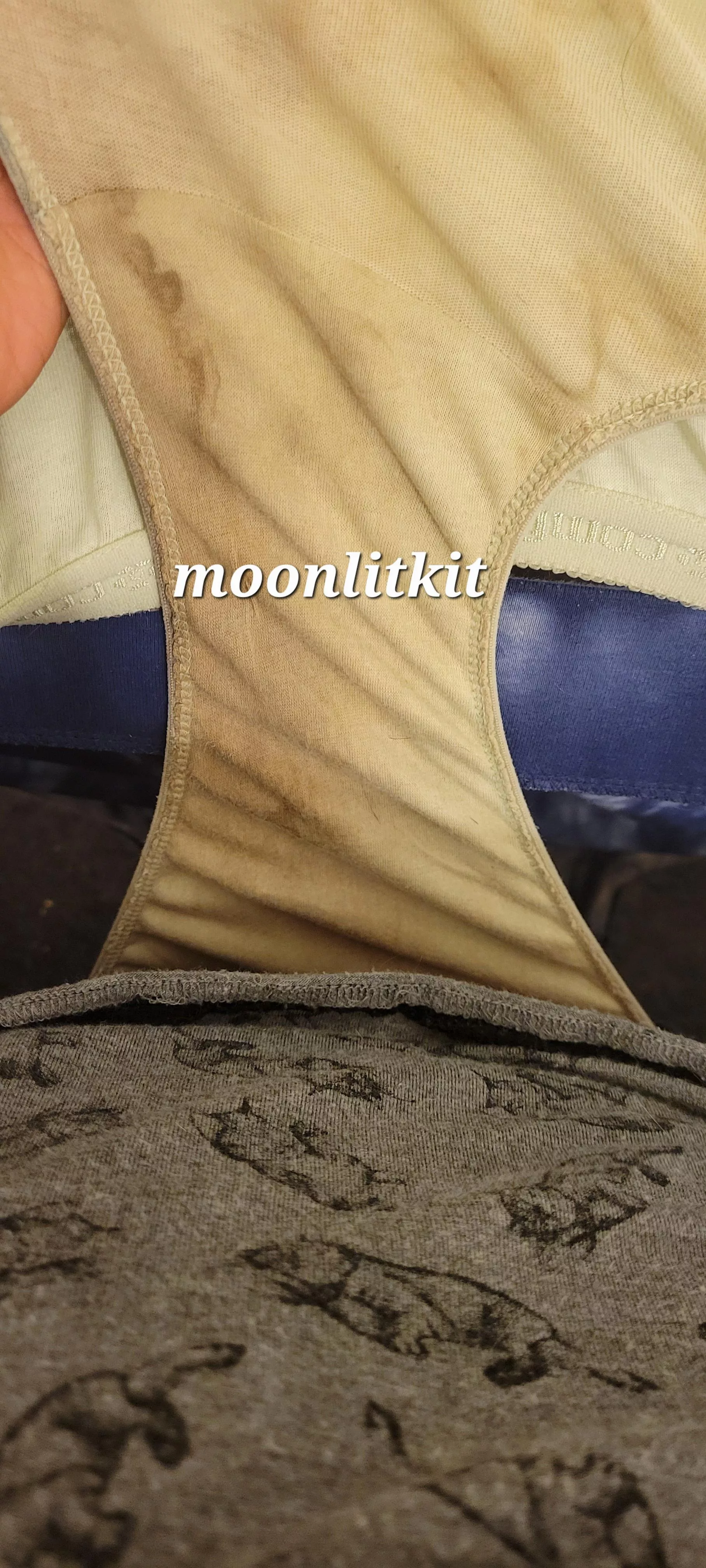 Building up day by day posted by Moonlit_KitLingrie