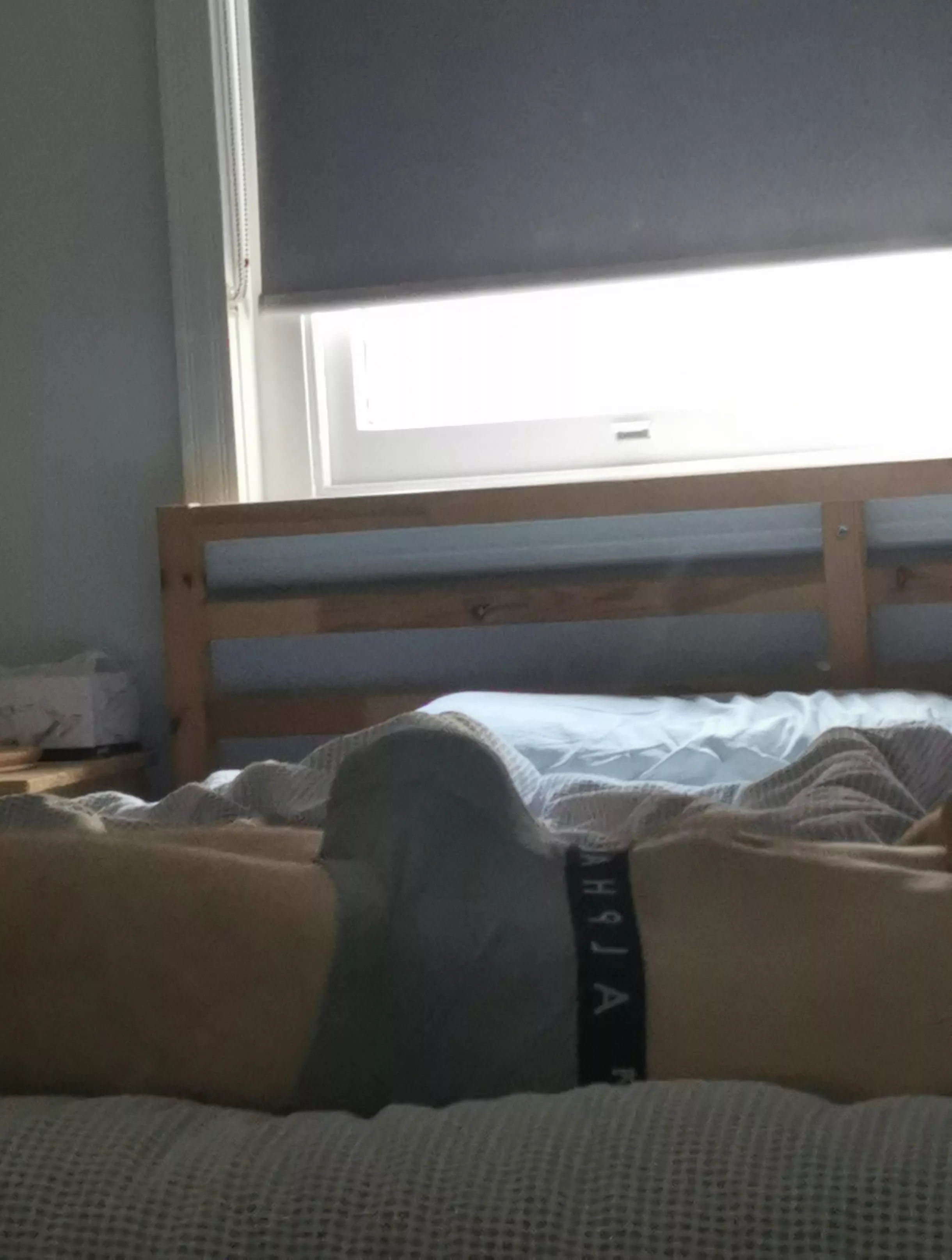 Bulging just a little posted by Wooden_Geologist_556