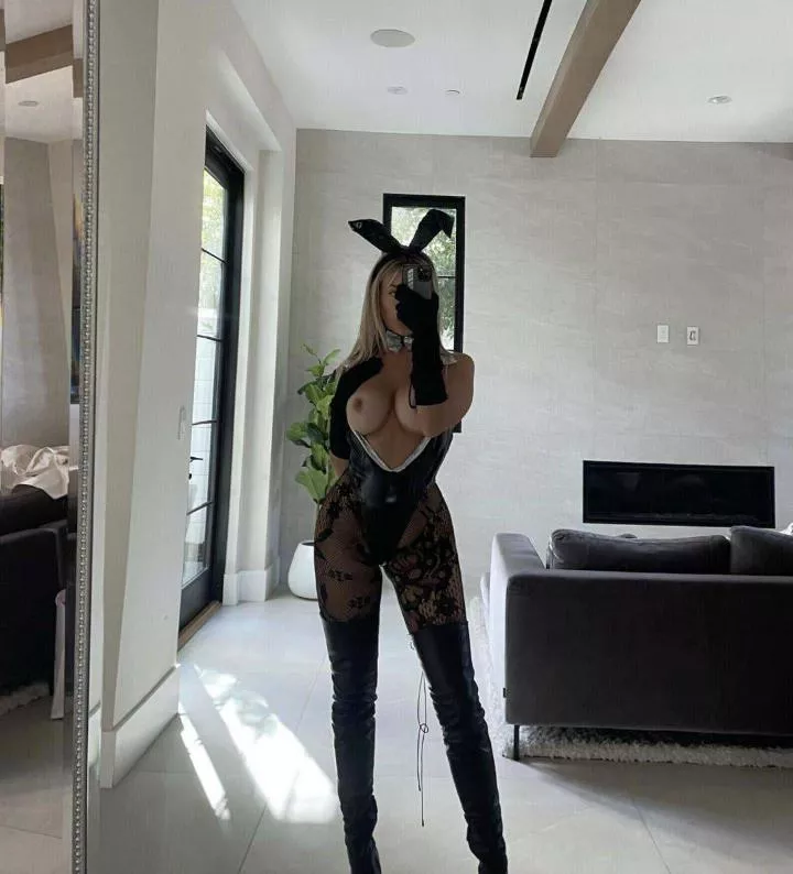 bunny posted by schifoma