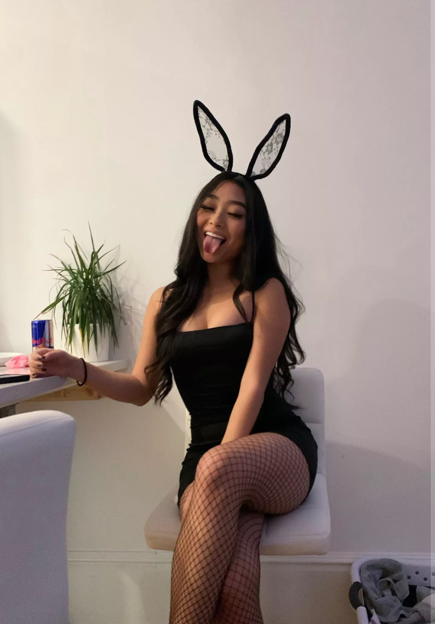 Bunny baby posted by burnese23