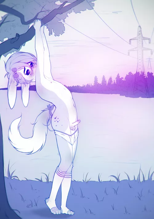 Bunny in nature (Zeefirka) by Zeefirka