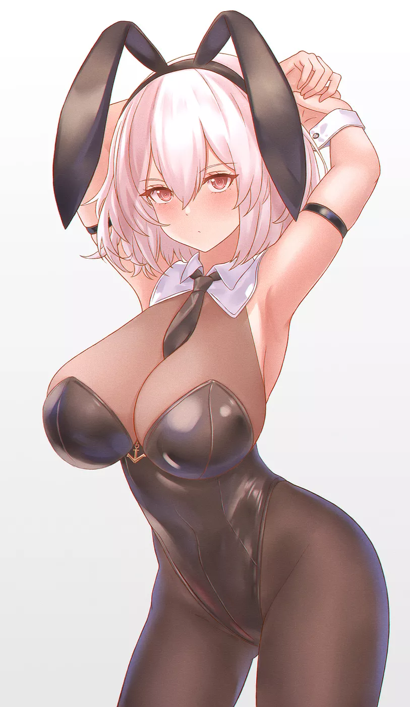 Bunny Sirius [Azur Lane] posted by CheetahSperm18