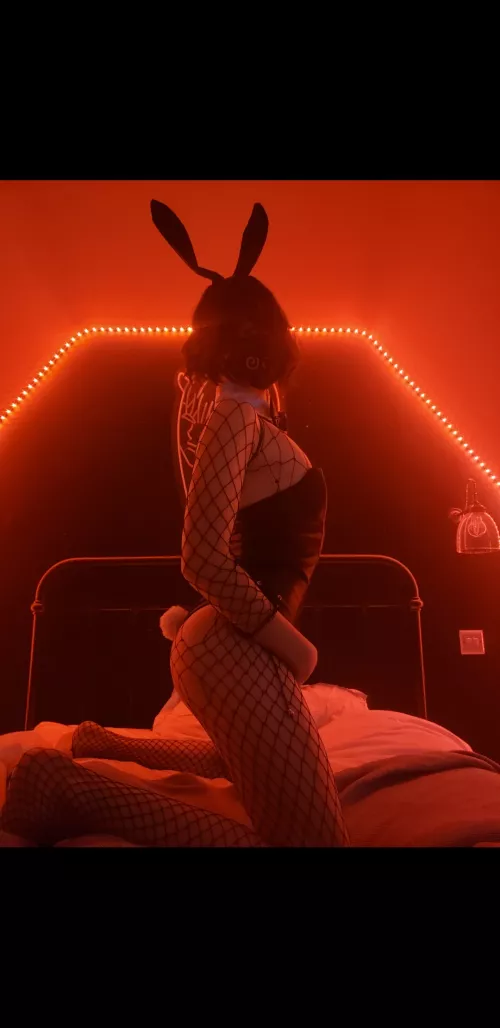 bunny was late to Easter sorry ! by Rozzer1