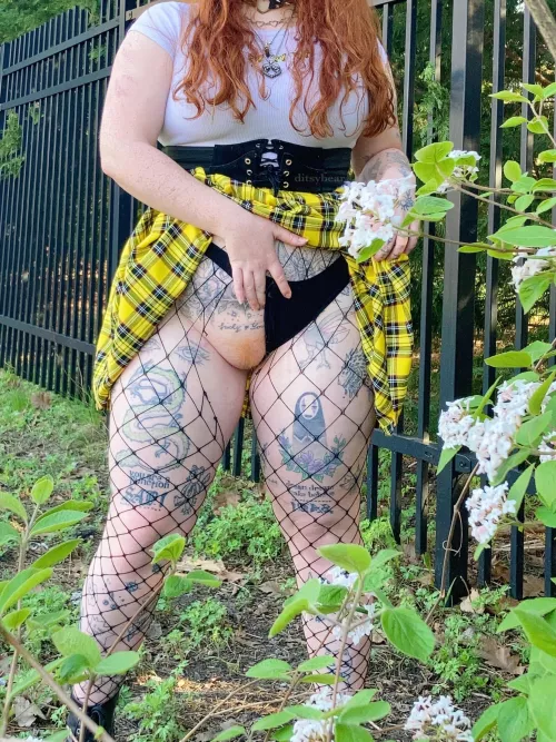 bush in a bush by ditsybear