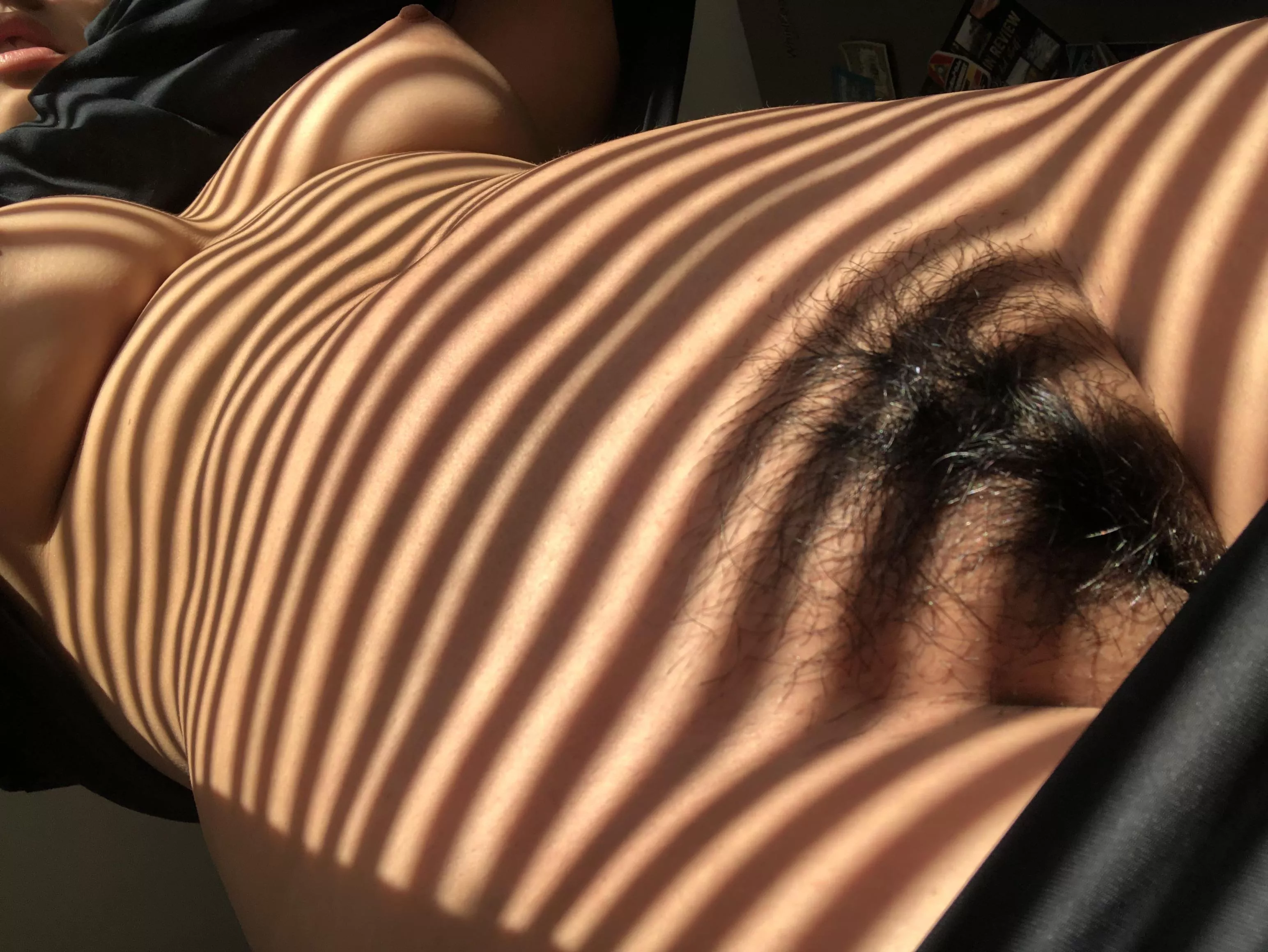 Bush plus sun stripes, nice combo do you think?;) posted by knowfacehaze