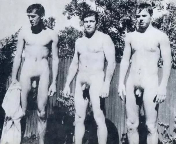 “Bush x 3” … by neilfromsydney2003