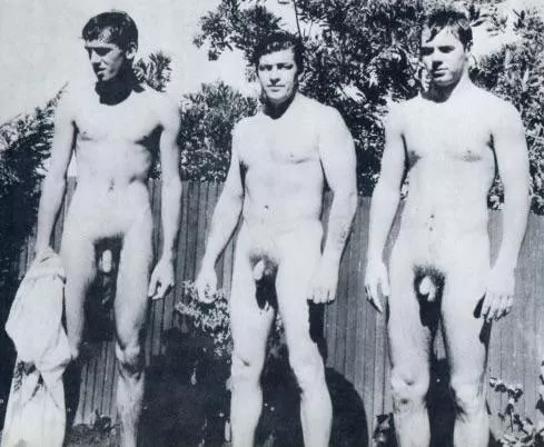 “Bush x 3” … posted by neilfromsydney2003