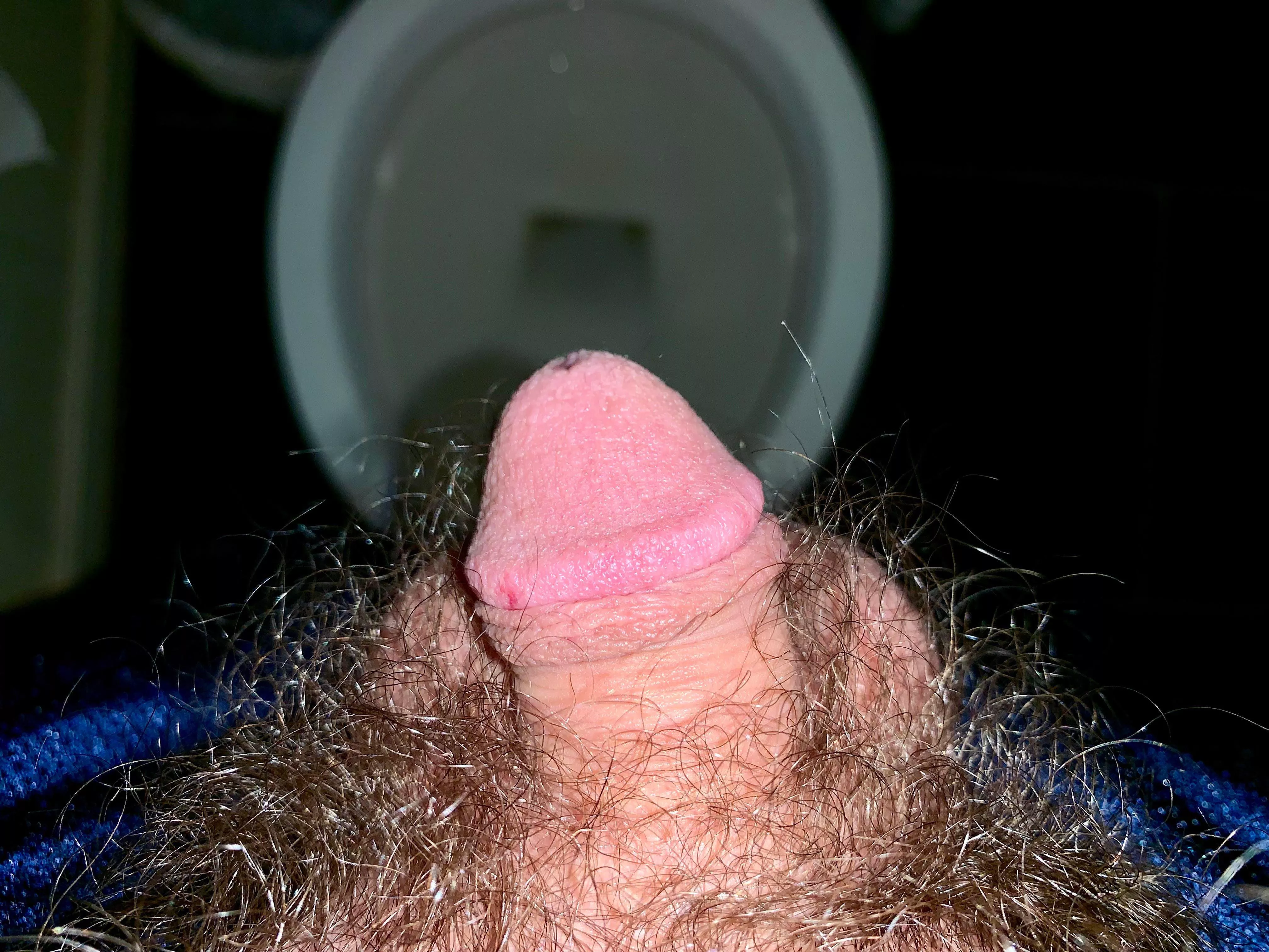 Bushwood posted by anon123456789876543