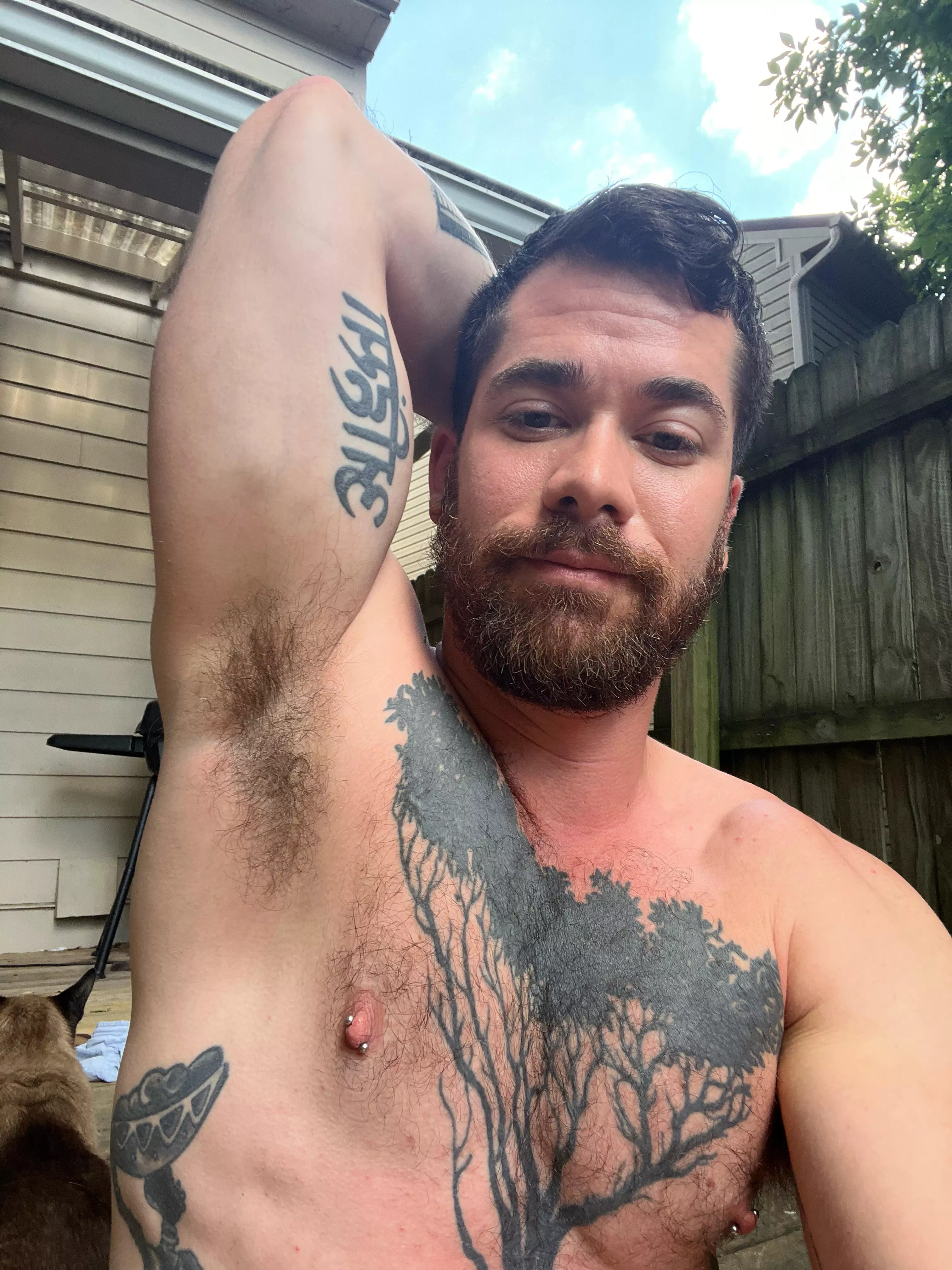 Bushy posted by thatyogafvcker