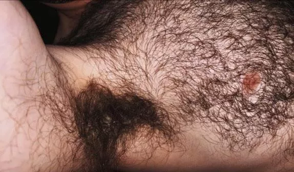 bushy pit & tiny tit posted by jerseyjaxoff