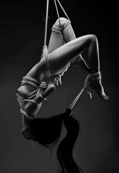 butterfly (?) posted by Haunting_Pound_6479