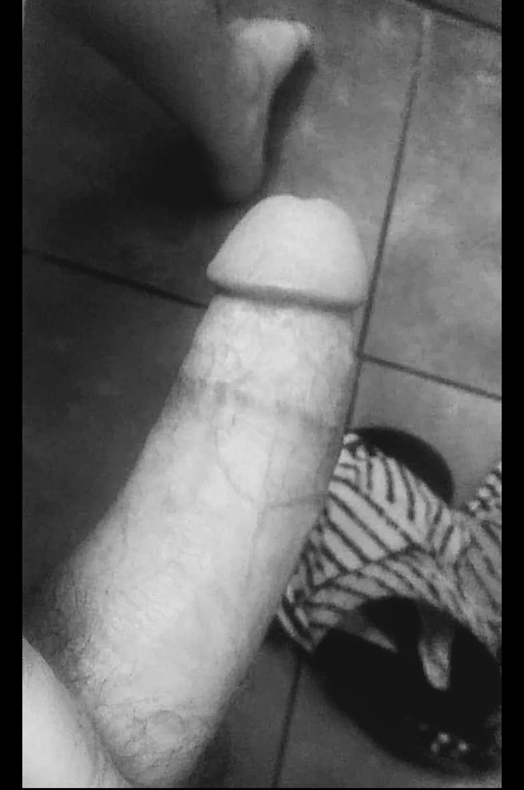 B&W Cock photo hard while removing swim trunks posted by ExpensiveAd3547