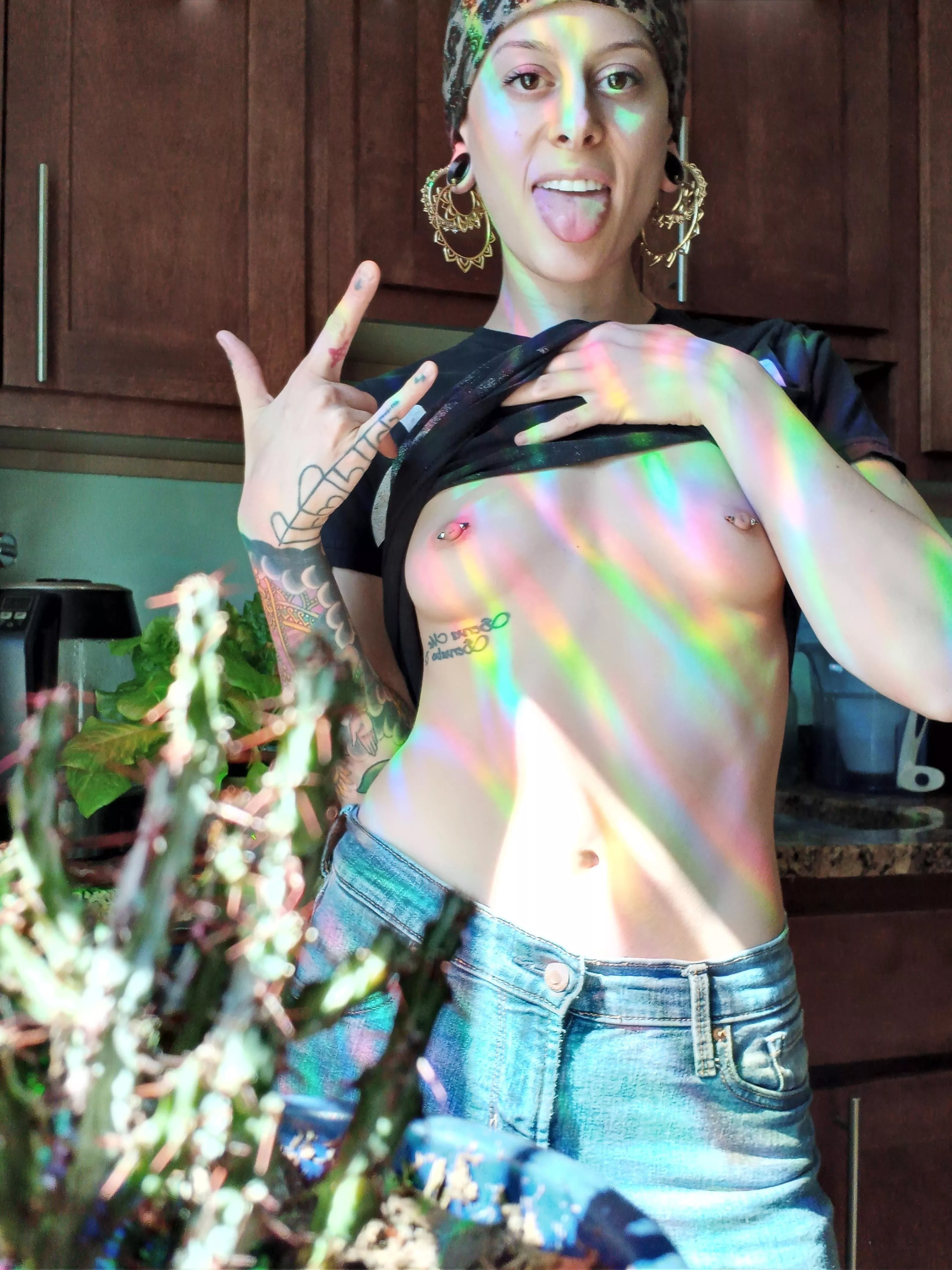 Cactus photo bomb posted by LayneeDivinee