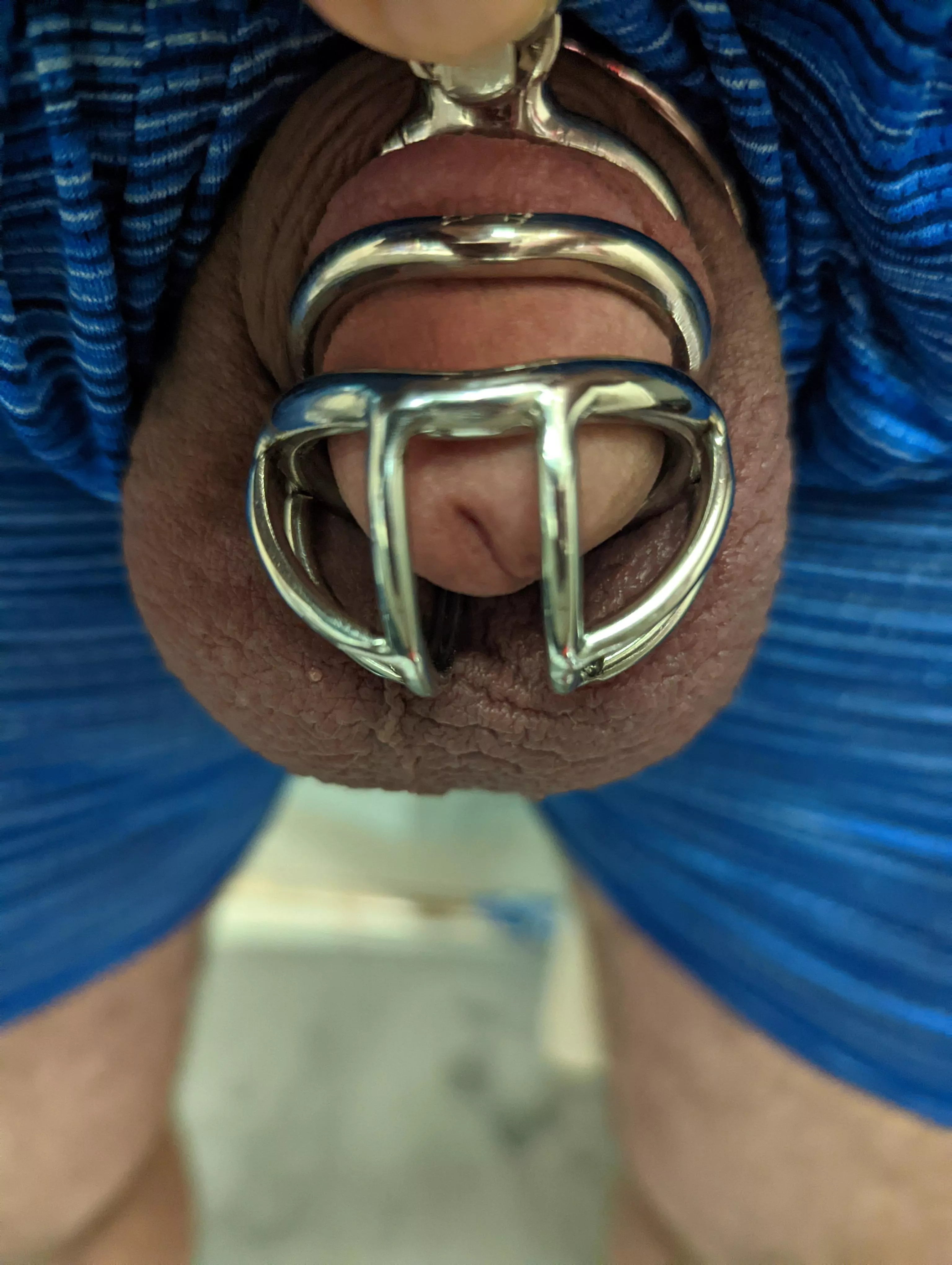 Cage Check day 3 posted by MajorSteele2022