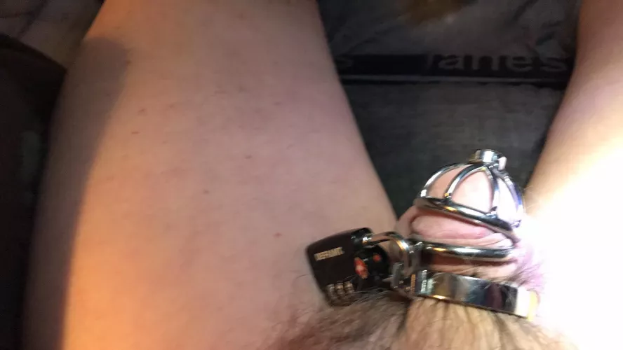 Caged what do you think by dianna54321