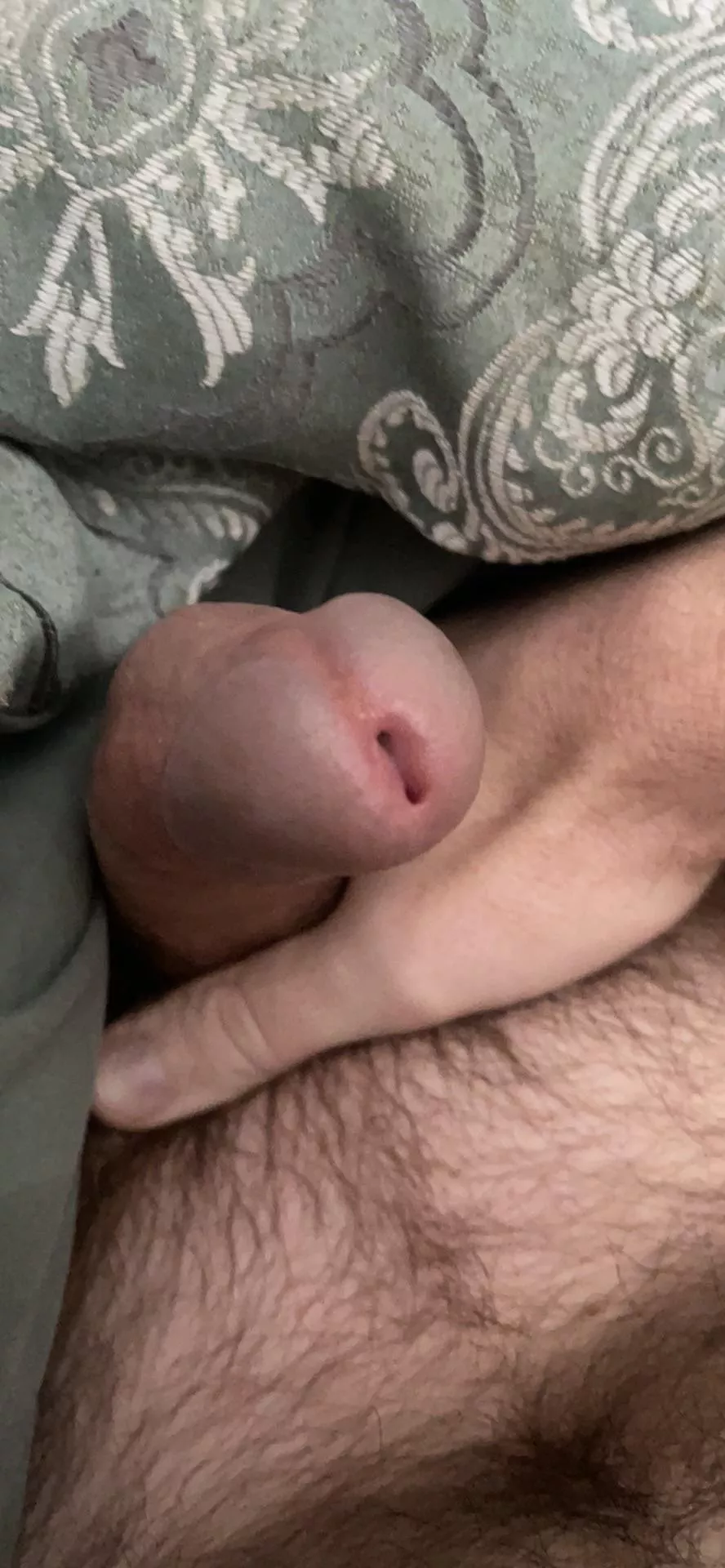 Cake day dick pic for freedom! posted by saltysailor5245_