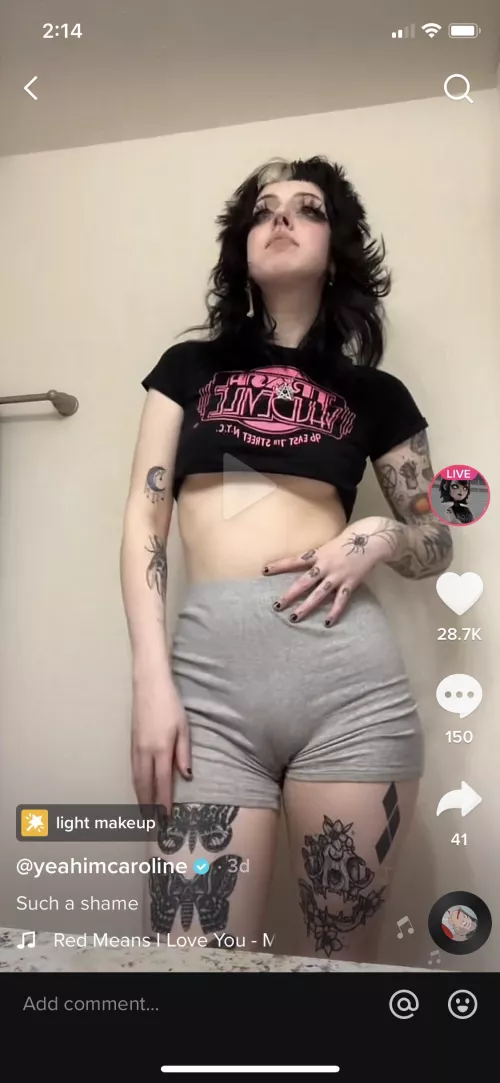 Camel slit by heisedann