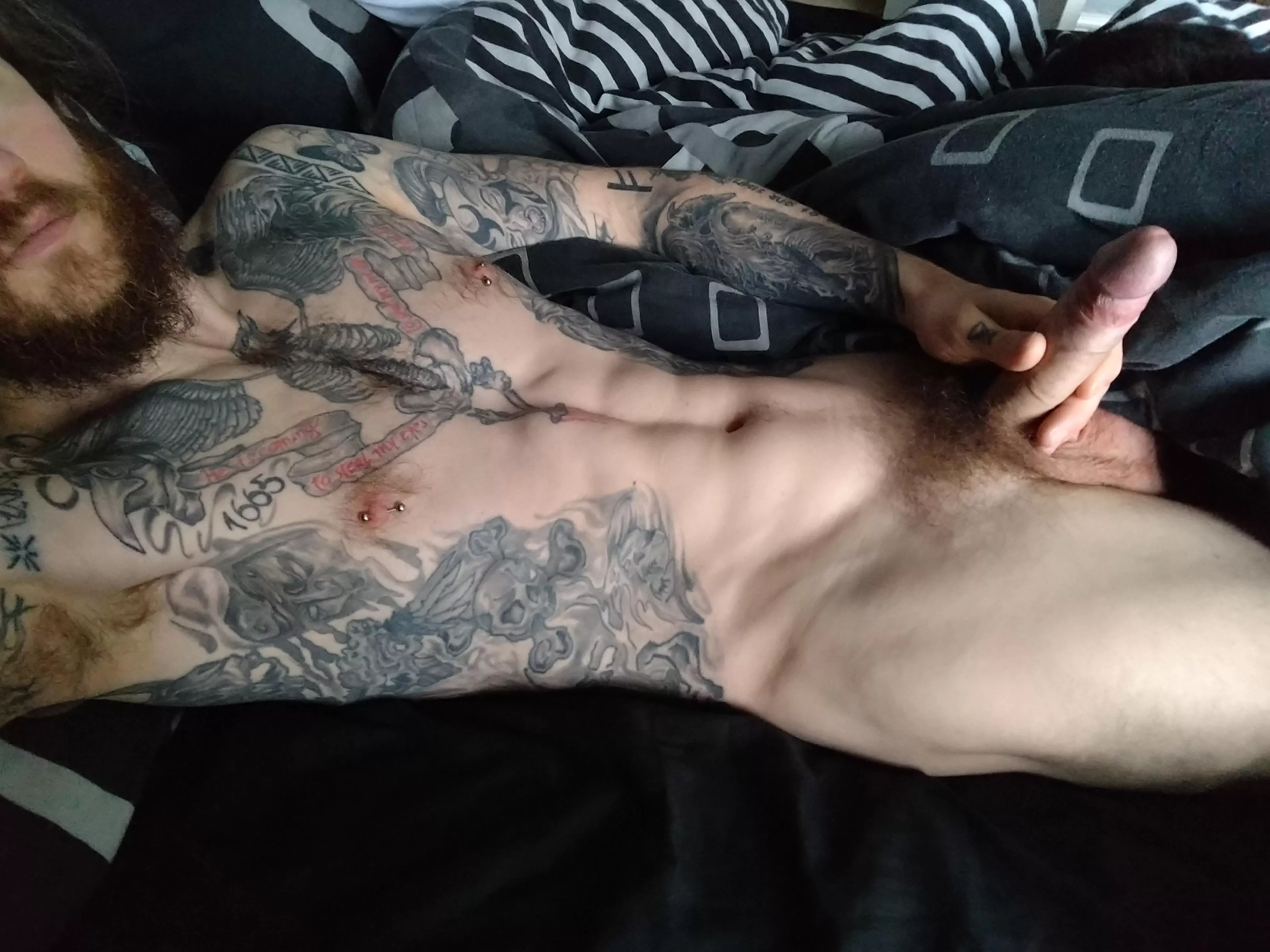 Can anyone take care of my morning wood? posted by J-Cea