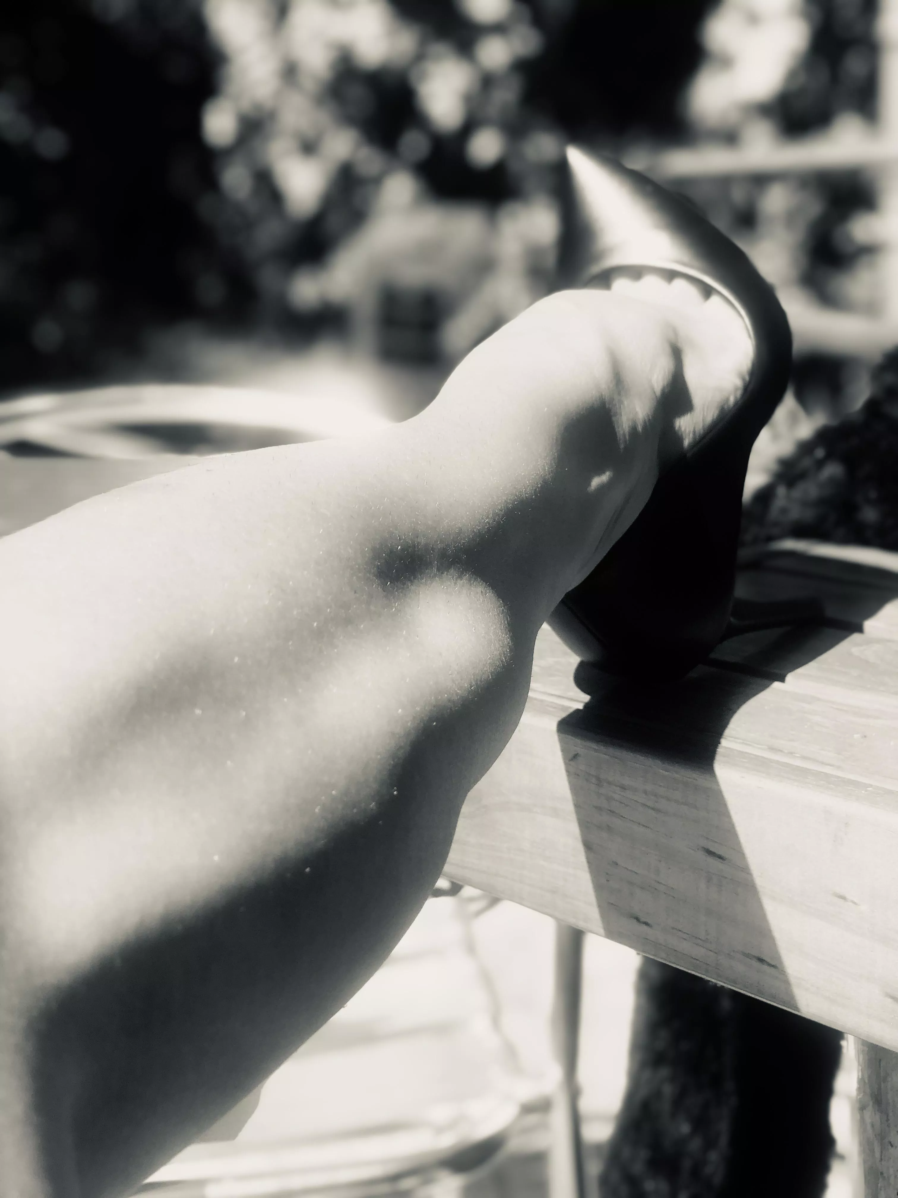 Can calves be erotic? You decide posted by LolaMayDays