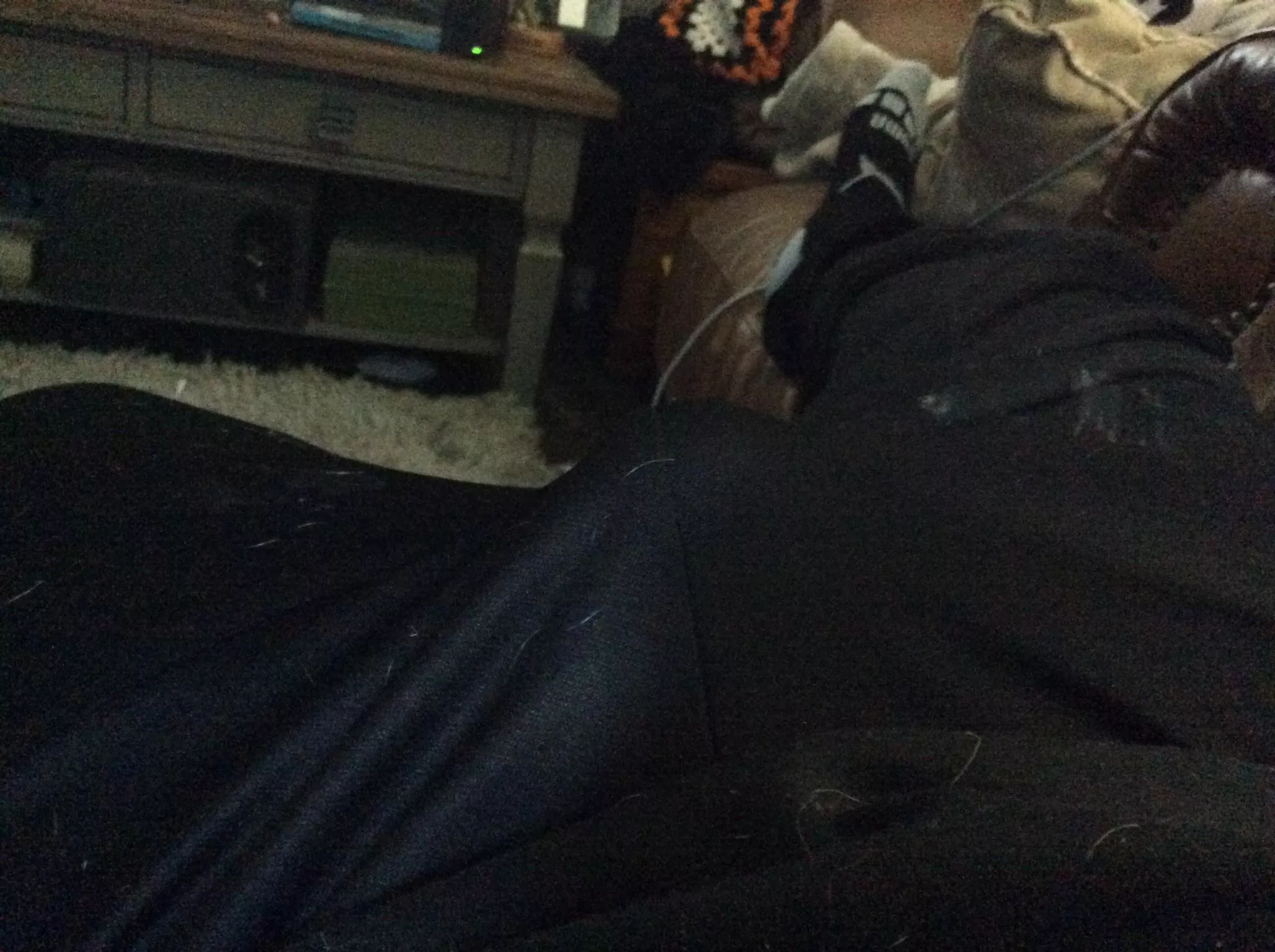 Can everyone upvote? posted by Can_i_get_a_hiyaa