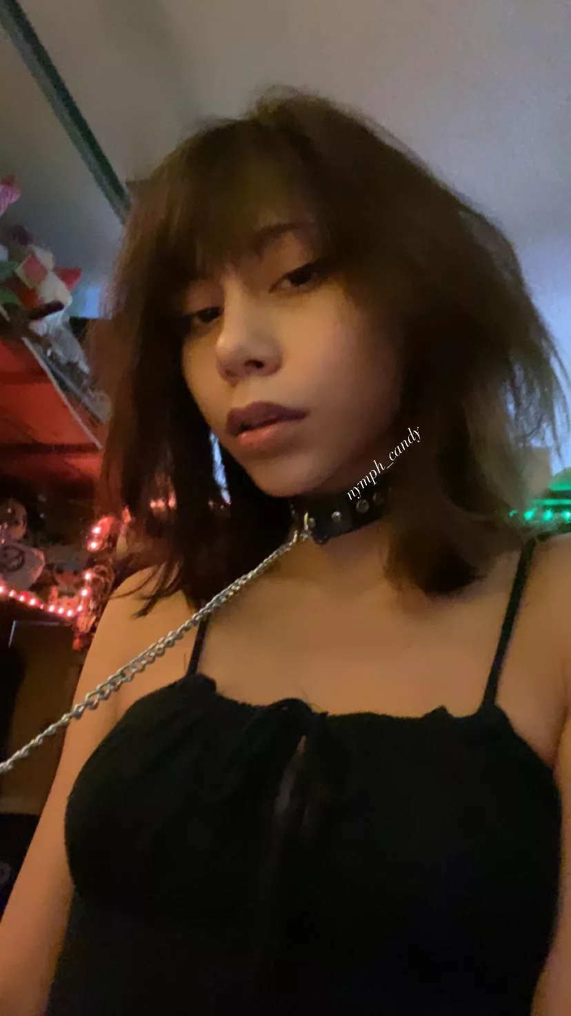 can i be your bitch? posted by nymph_candy