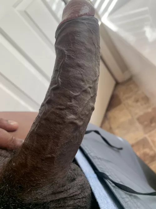 Can I catch your attention? by Turbulent_Yellow