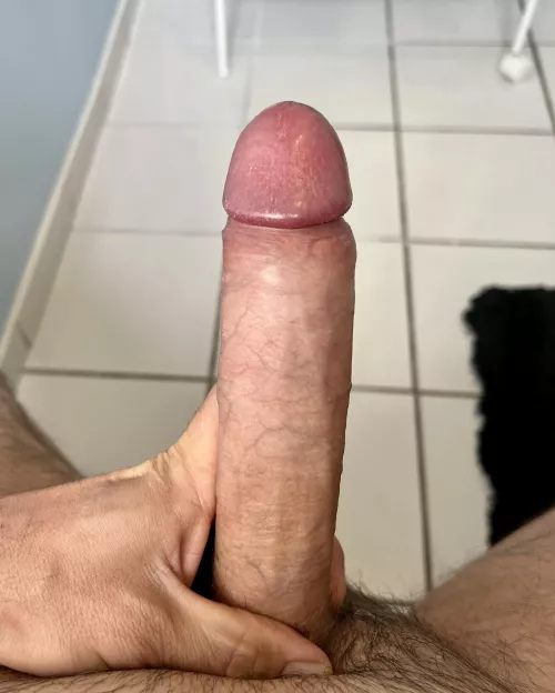 Can I get a rating? by No-Divide-4899