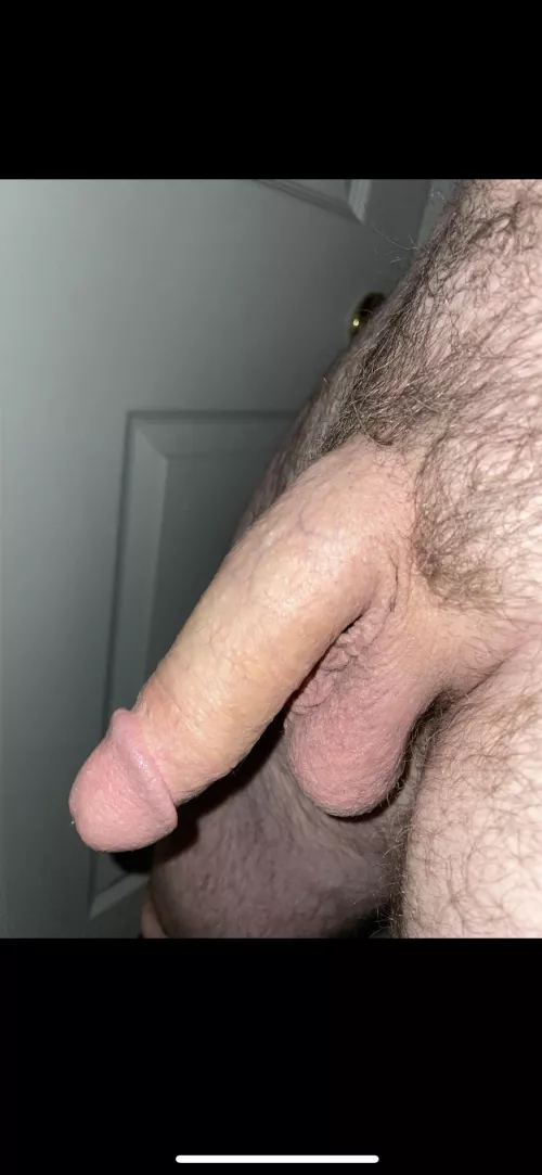 Can I hang out here by arborvitaeflower