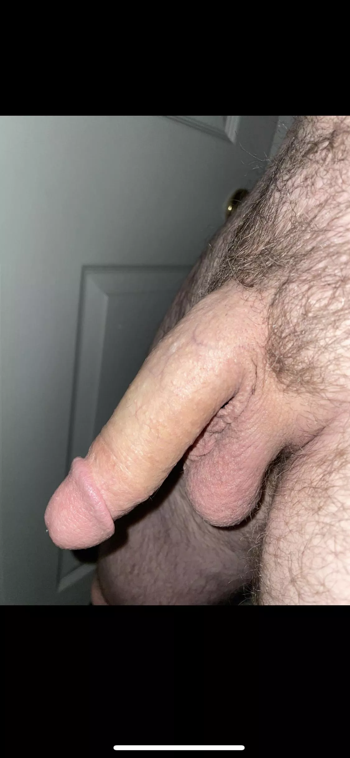 Can I hang out here posted by arborvitaeflower