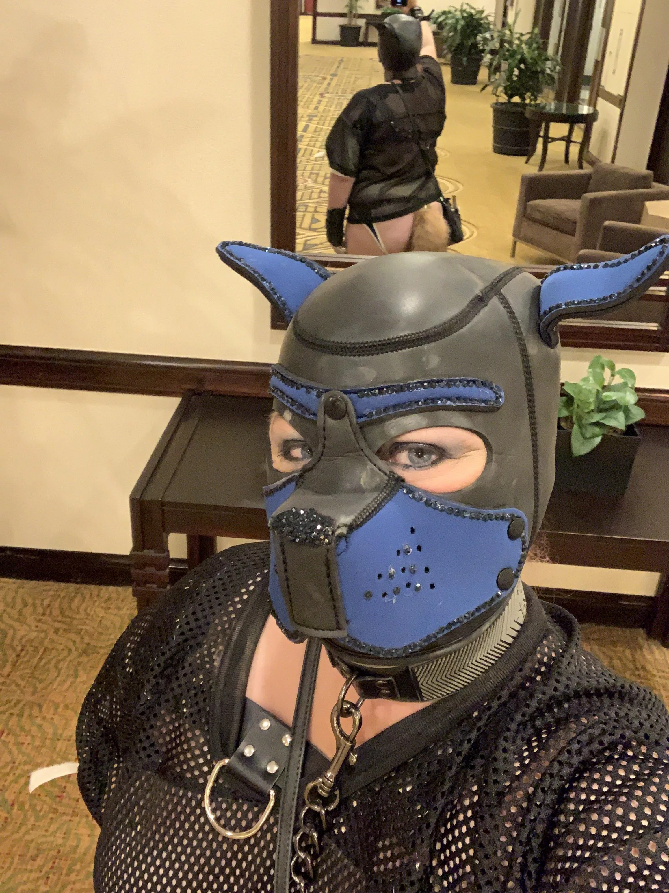 Can I haz some scritches plz?! posted by 1684Crash