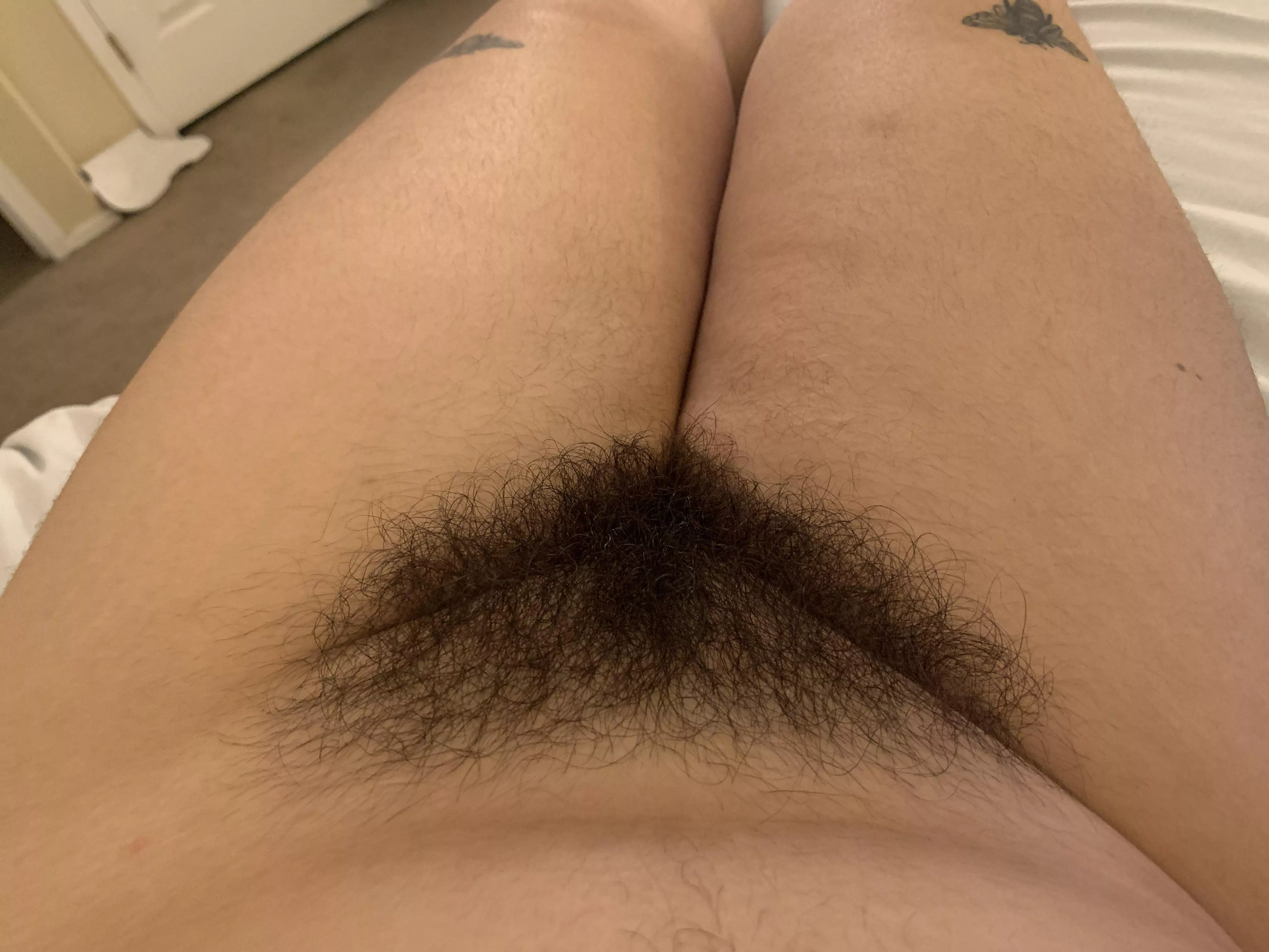 Can I keep your nose warm as you dive into my muff? posted by cherrythemistress