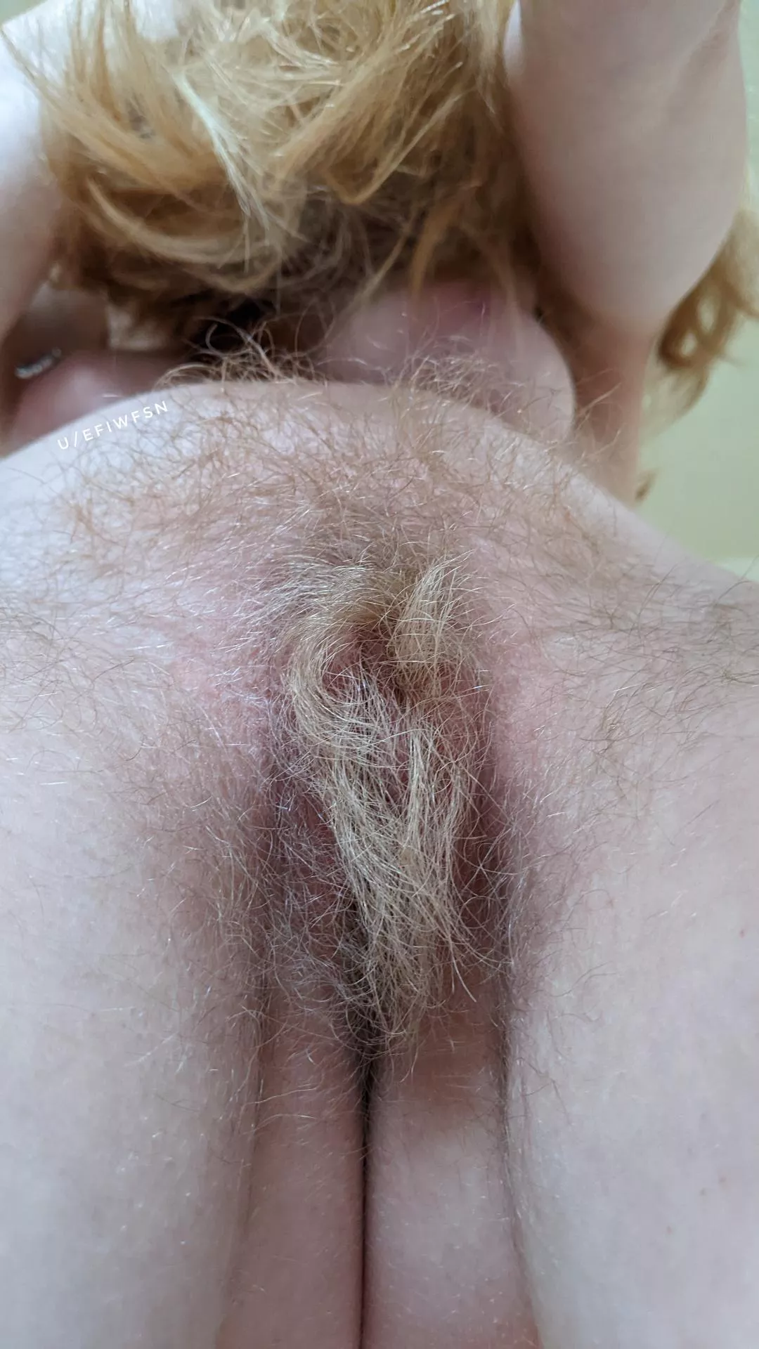 Can I sit my pretty blonde bush on your face? posted by efiwfsn