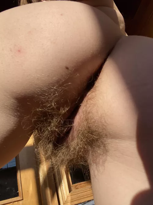 can i sit on your face? by abbysunny