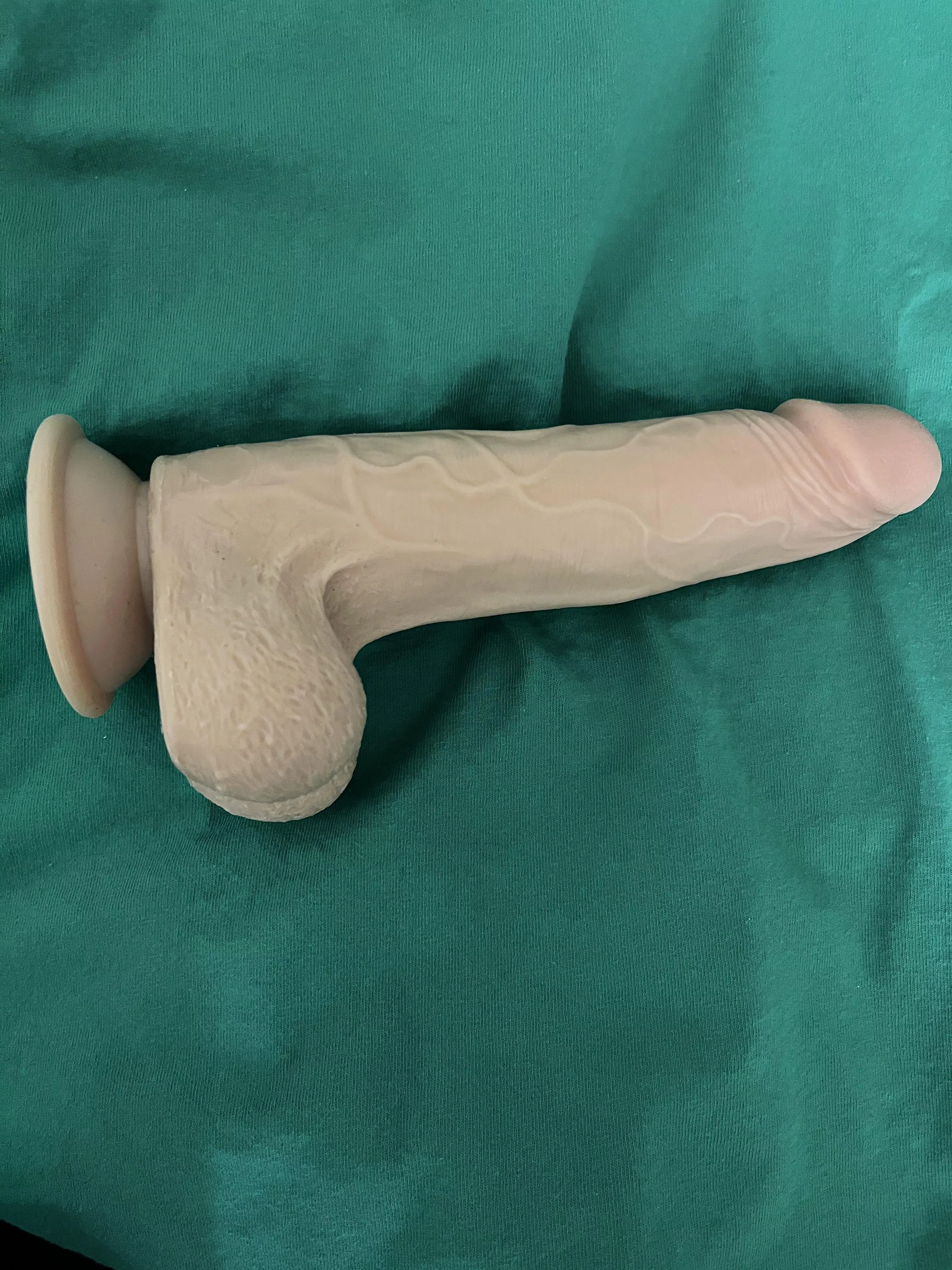 Can someone please help me find a new one of these?! posted by Next-Compote8828