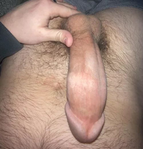 Can someone please help me with this by Sachse2016-