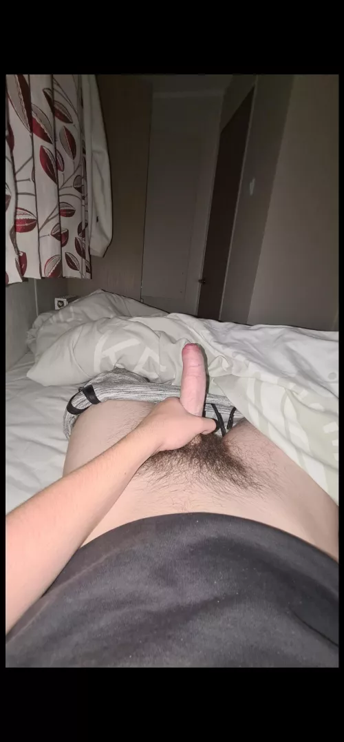 can u rate my dick by Ambitious-Talk-3599