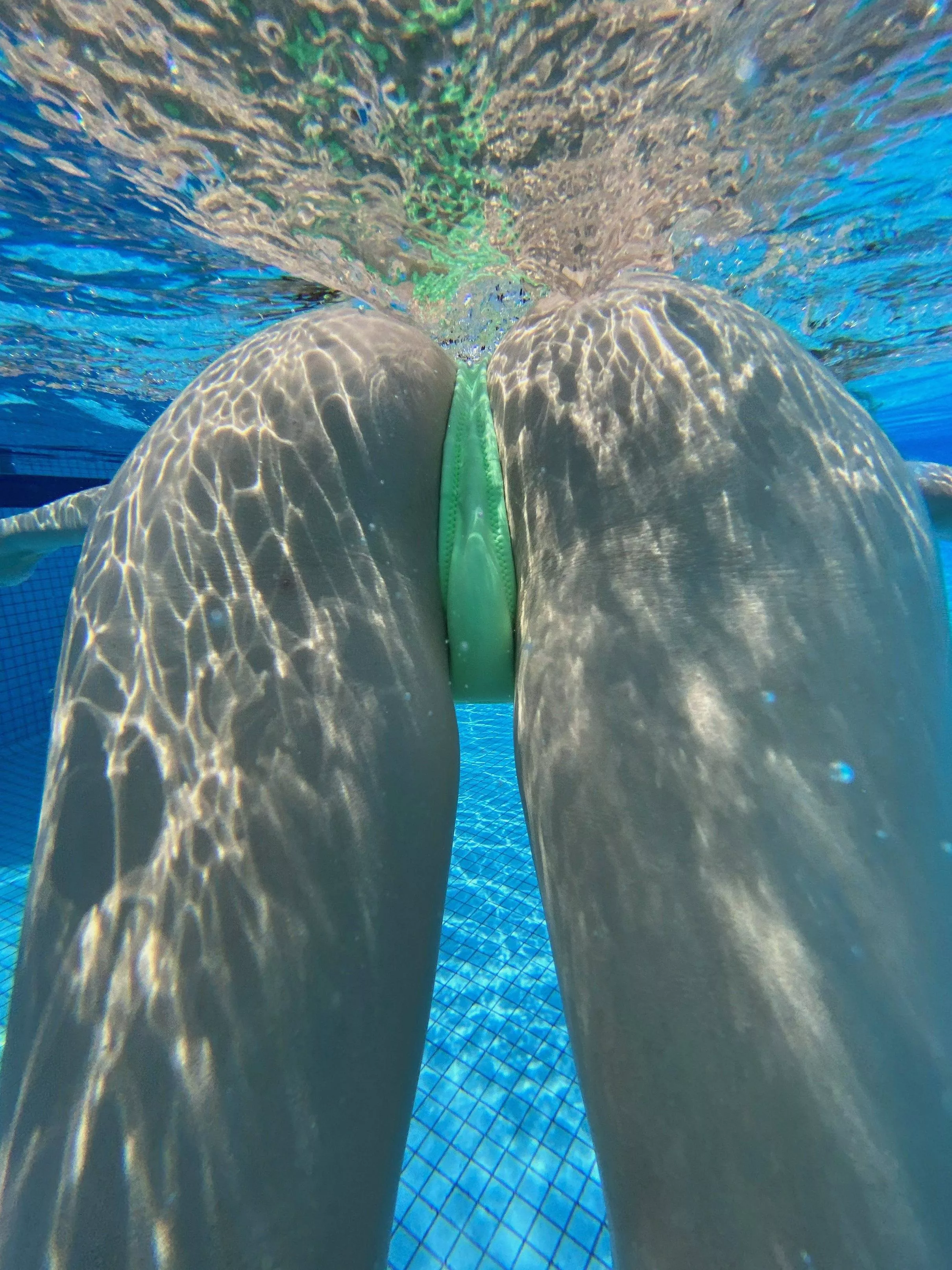 Can we do anal on our first date? posted by White_Clothes_