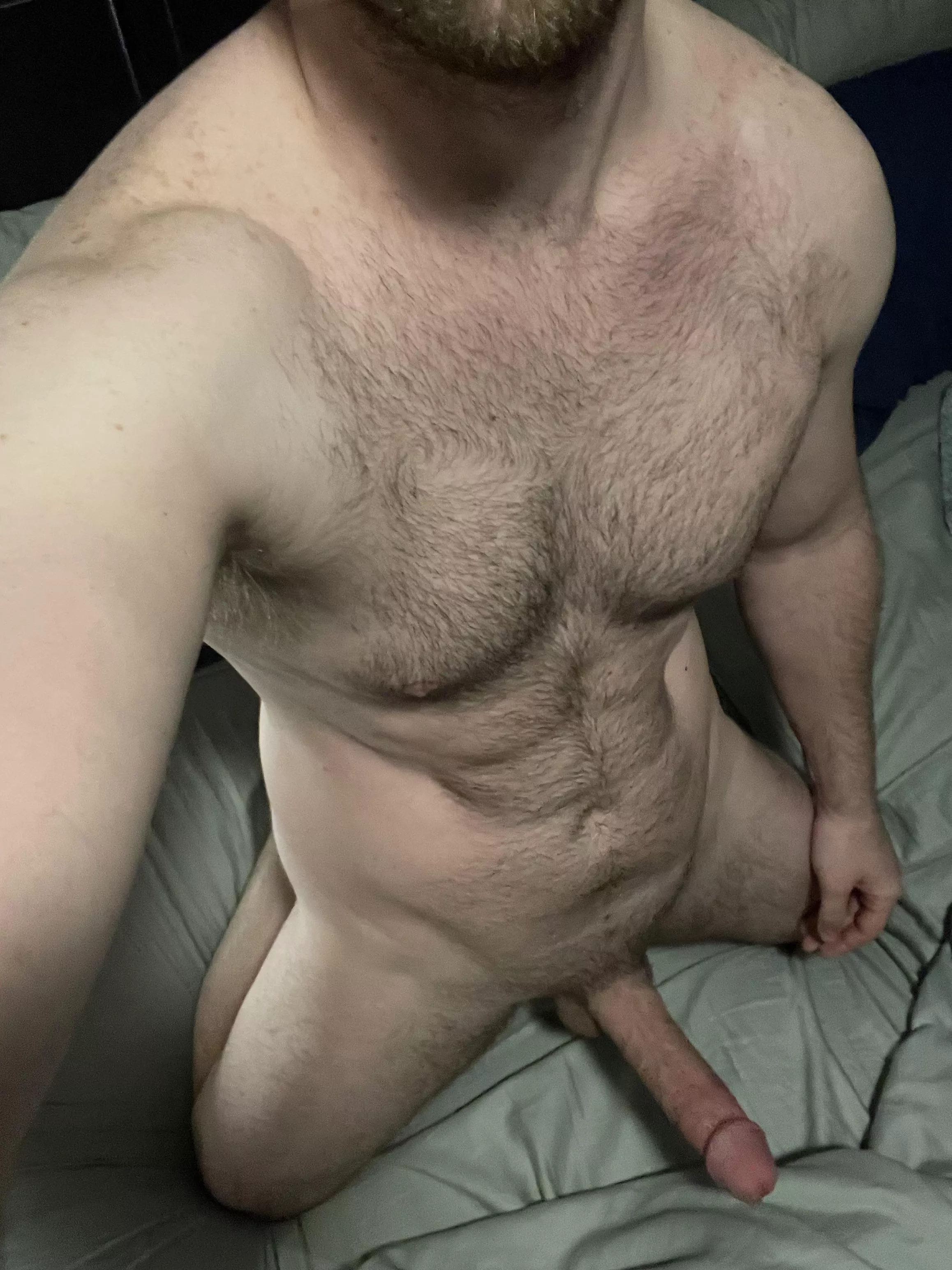 Can we just fuck all Friday night? posted by swizzledick_