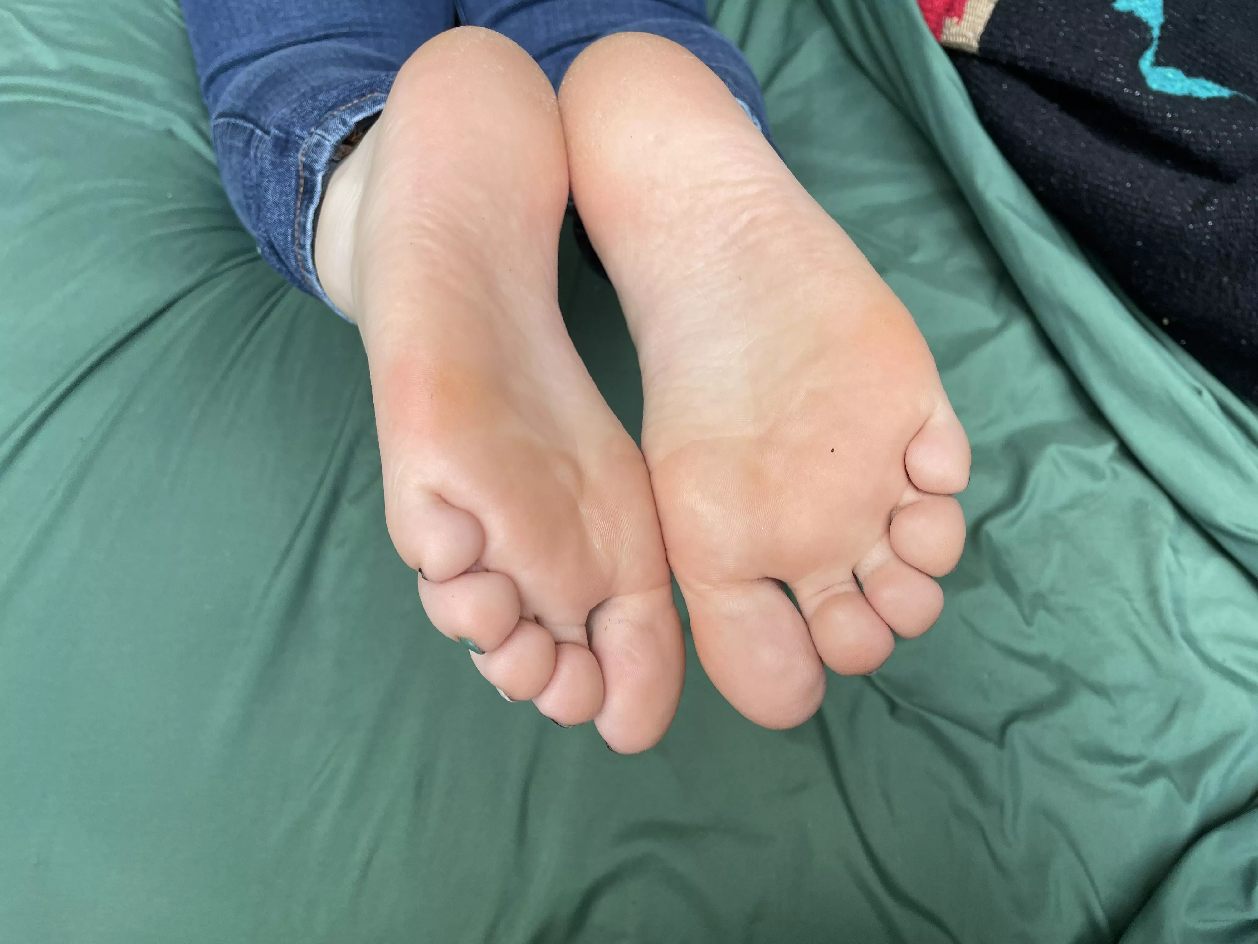 Can you find the spot where you would fit? posted by JennysPerfectPaws