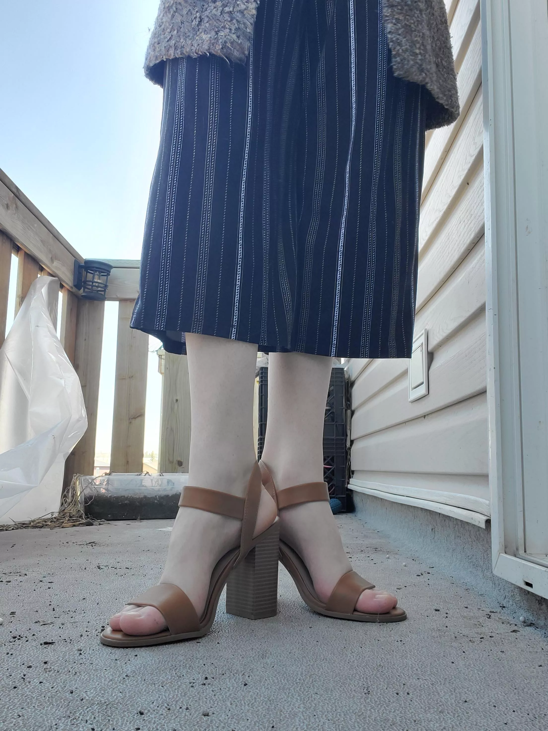 can you guess my shoe size? posted by bigcanadianfeet