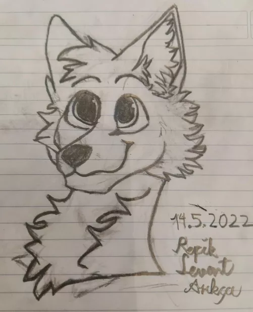 Can you please be honest It's my first time drawing a furry is it good for a first time? by LeventIsAFurry