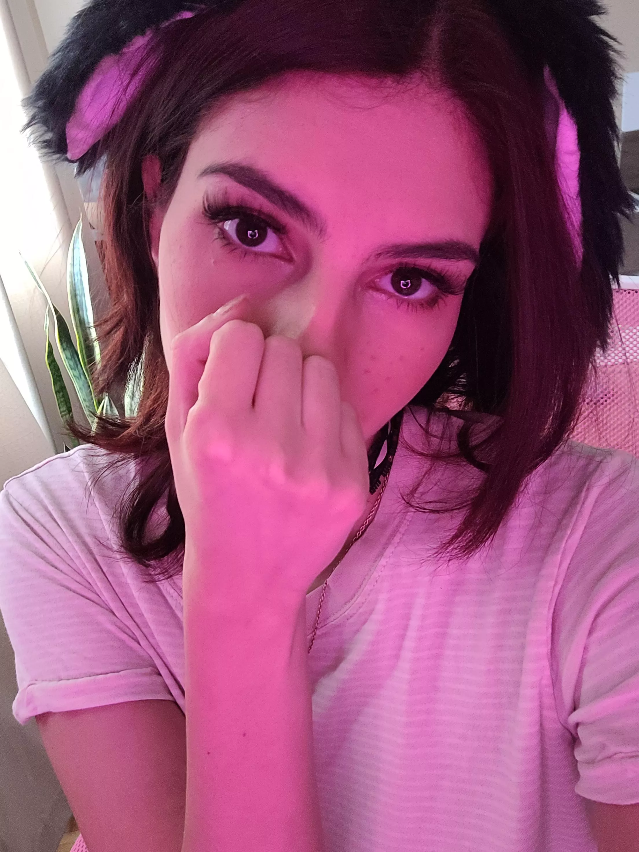 can you say no to such a cute bunny posted by kawaiibunny666