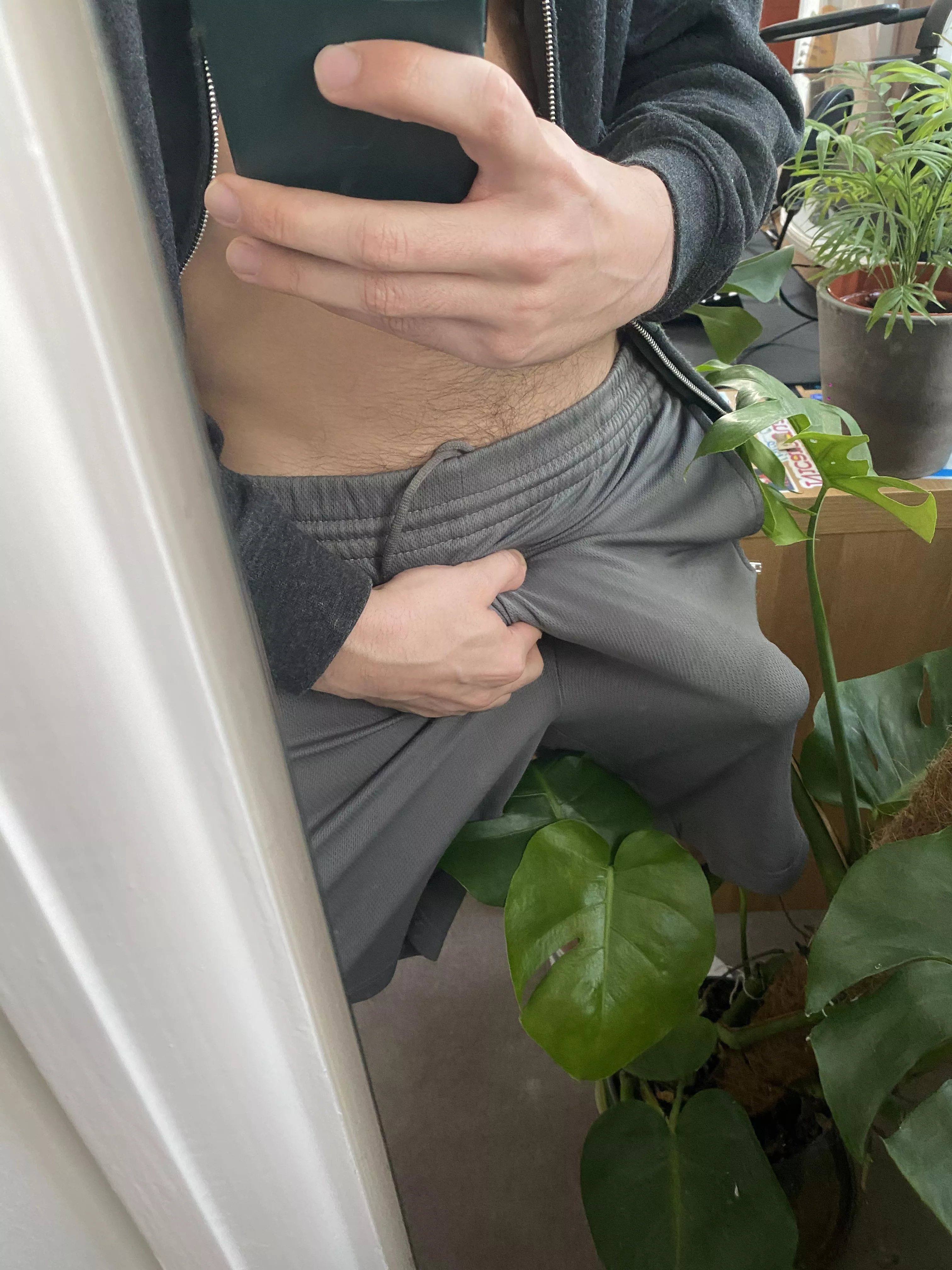 can you see him? 🙈 posted by DistractedSalumi