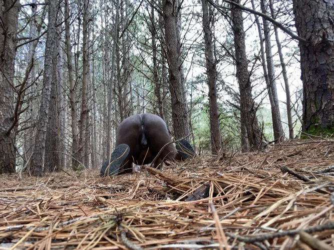 Can you see me? by pandemictink